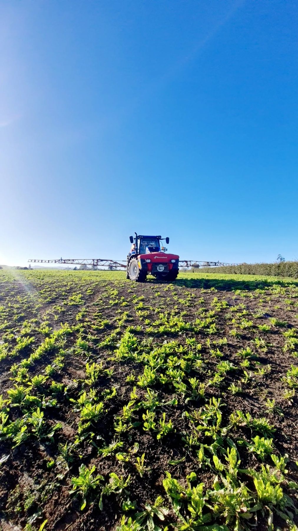 Kverneland sprayer on a young crop