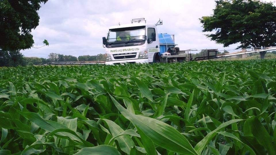 Spray truck working a maize crop